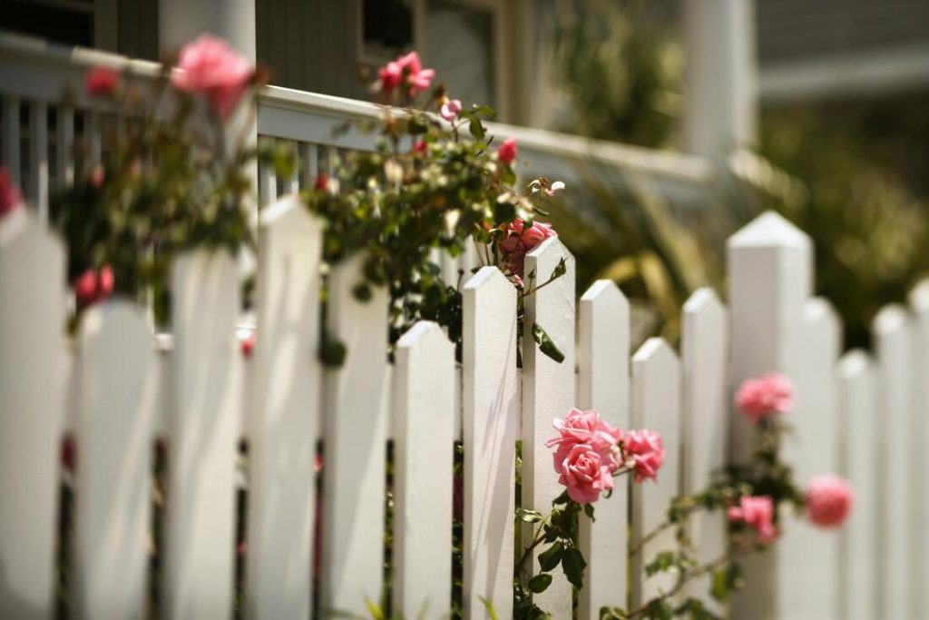 A picture of a white fence with pink flowers growing through it